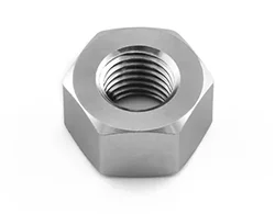 Inconel 718 Nut